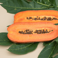 Foglie di papaya